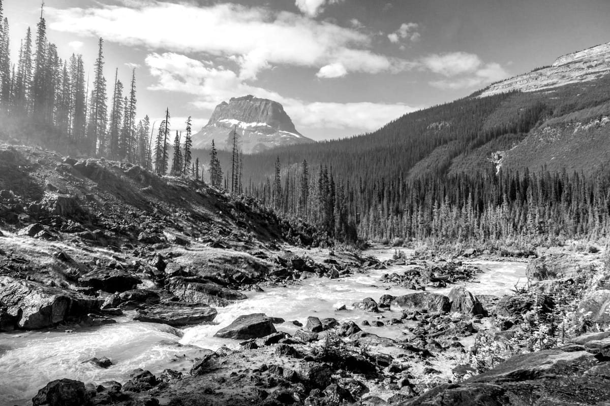 February 8: Time in the Wild