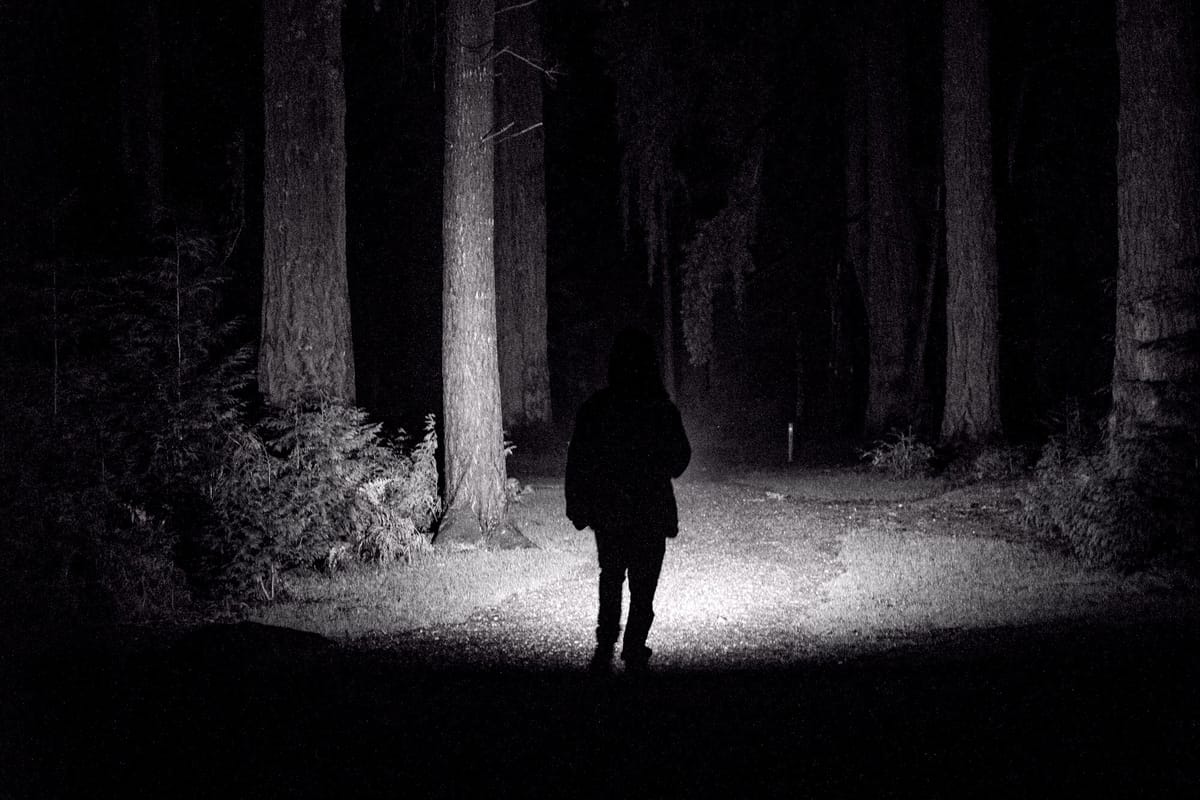 Week Seven: Dark Night/Cloud of Unknowing. February 12: My Mind is Left Barren