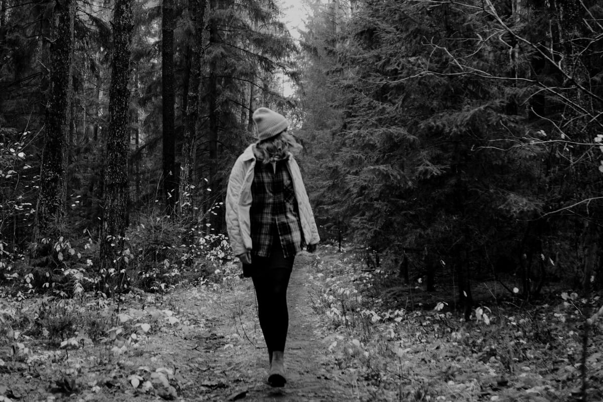 February 7: Forest Bathing, Walking Meditation