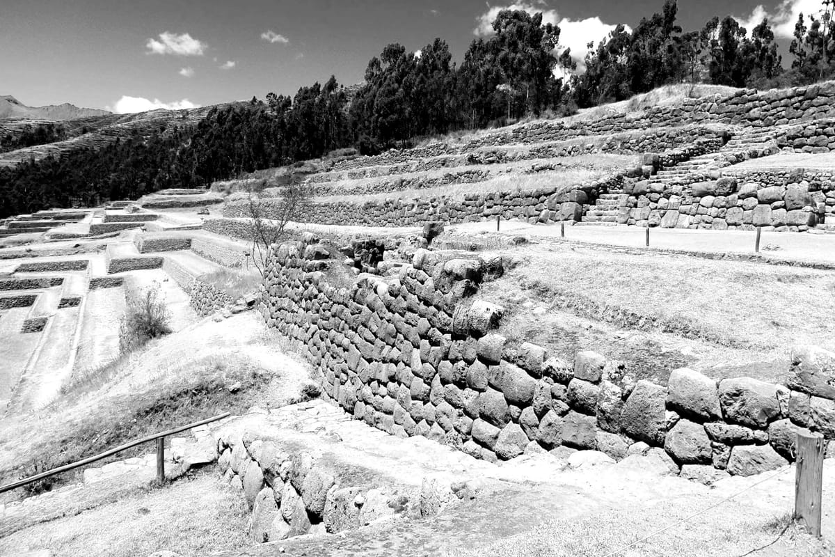 Week Six: Contemplative Life & Practice. February 5: Find the Ancient Path and Walk in it