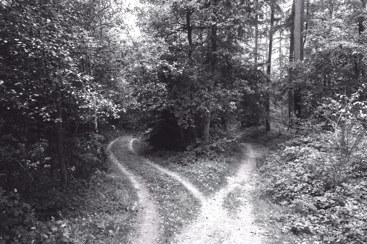 February 22: There’s Not One Path