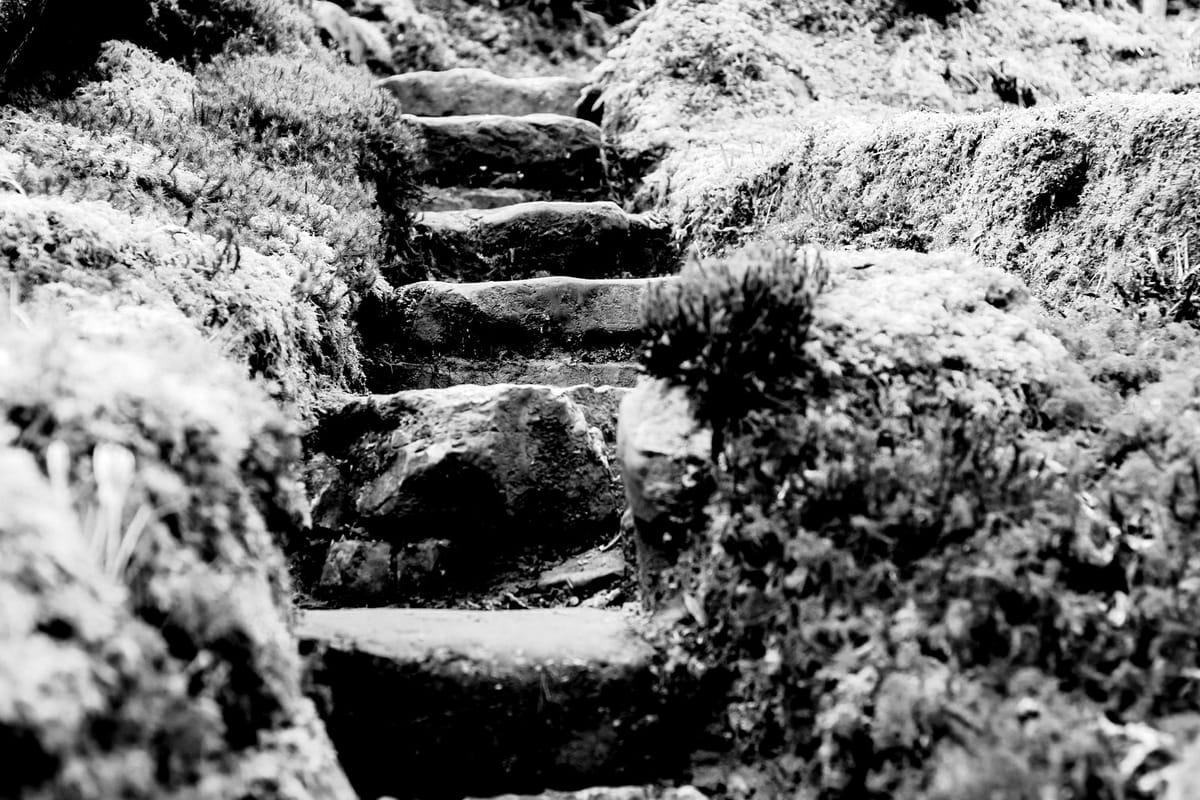 February 23: Trust God Enough to Take a Step?