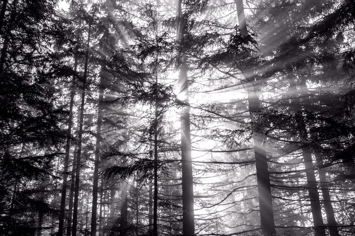 March 9 — God’s Presence in the Ordinary