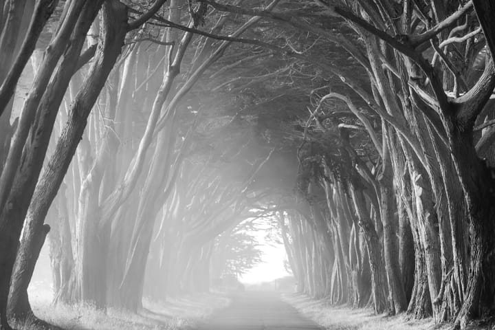 Pathways to God