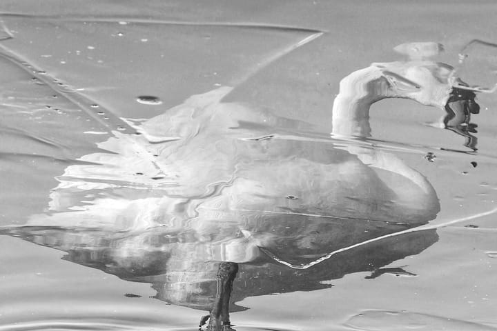 January 7: Are You Present to the Presence?