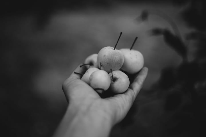 Week Two: Bearing Fruit/Spiritual Gifts.            January 8: Understand your Gifts to find your Calling